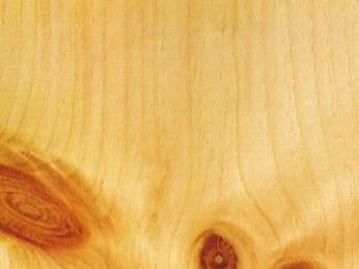 Holz: Weymouthskiefer
